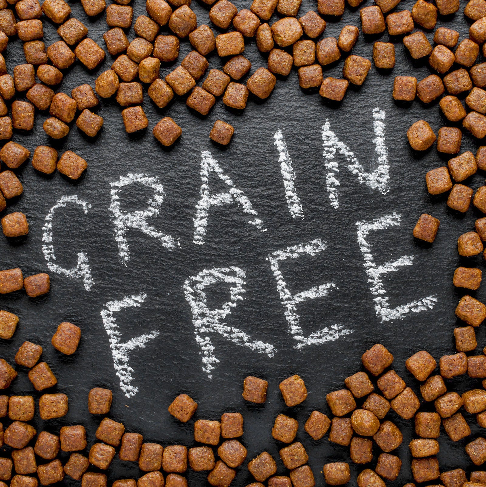 is grain in dog food good or bad