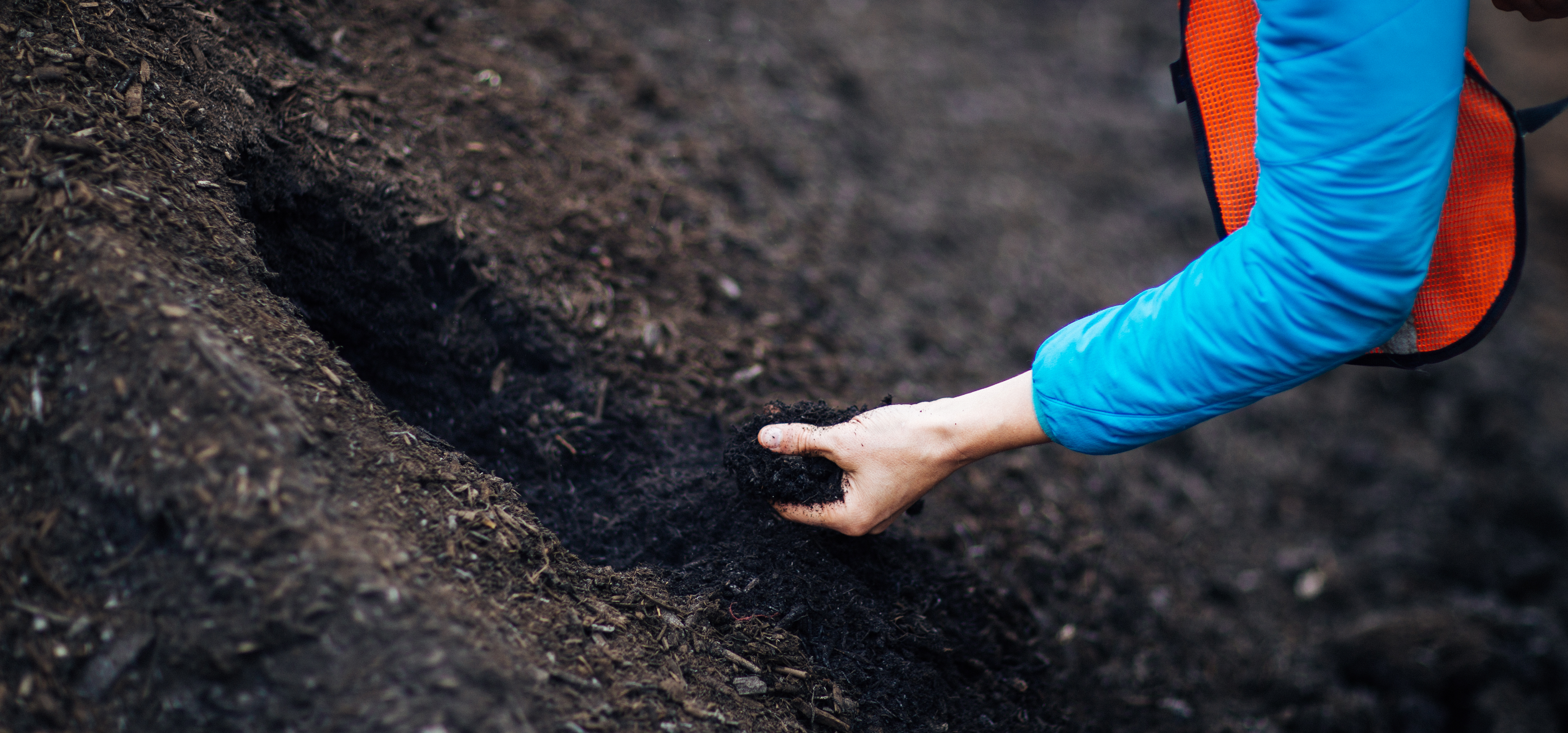 Compost