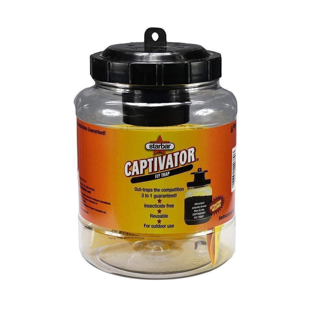 captivator fly trap