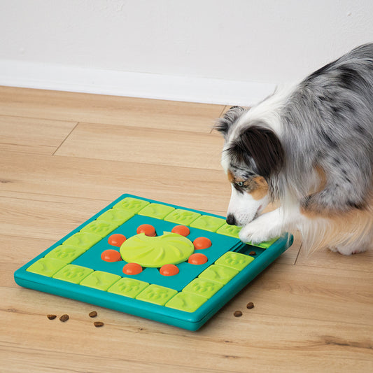 Pawzler - Innovative Modular Dog Puzzles