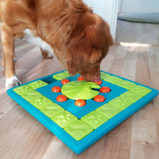 Pawzler - Innovative Modular Dog Puzzles