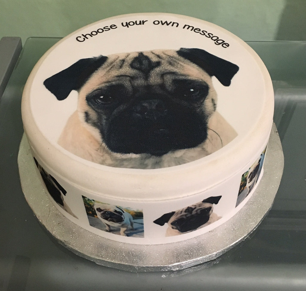 pug dog cakes