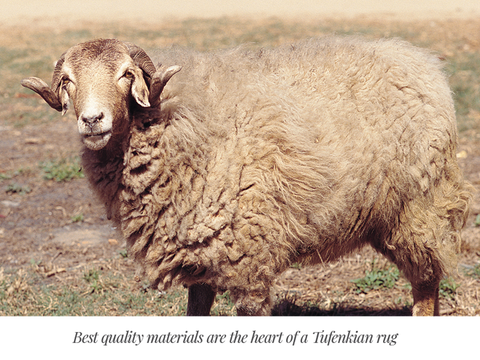 Sheep provide one of the world's most sustainable textiles