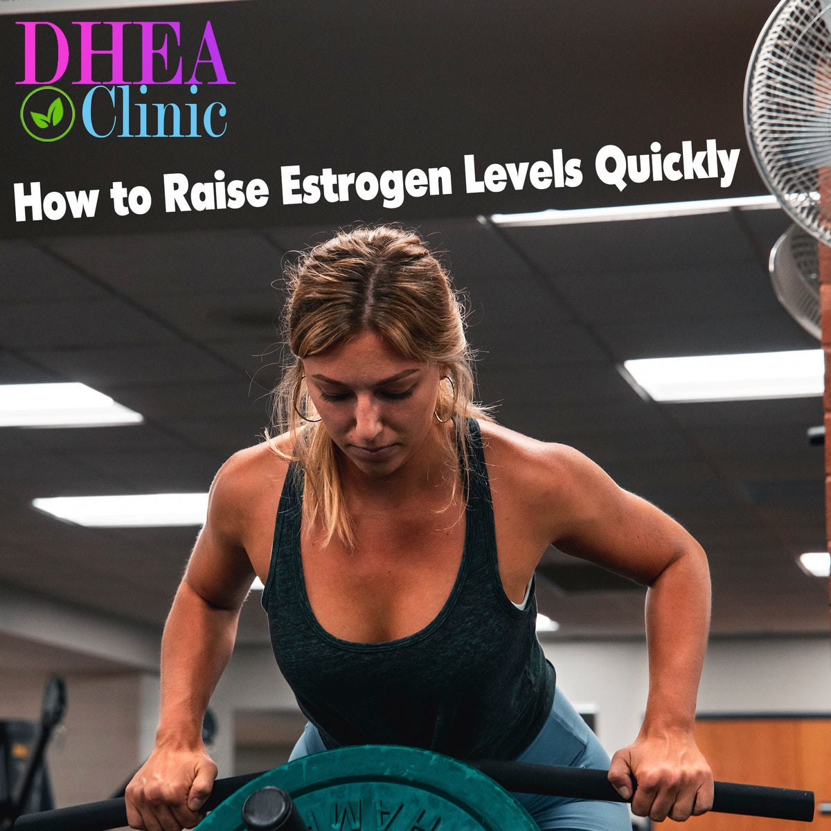 how-can-i-raise-my-estrogen-levels-quickly-dhea-for-men-women