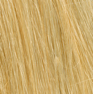 Color R9HH Light Blonde