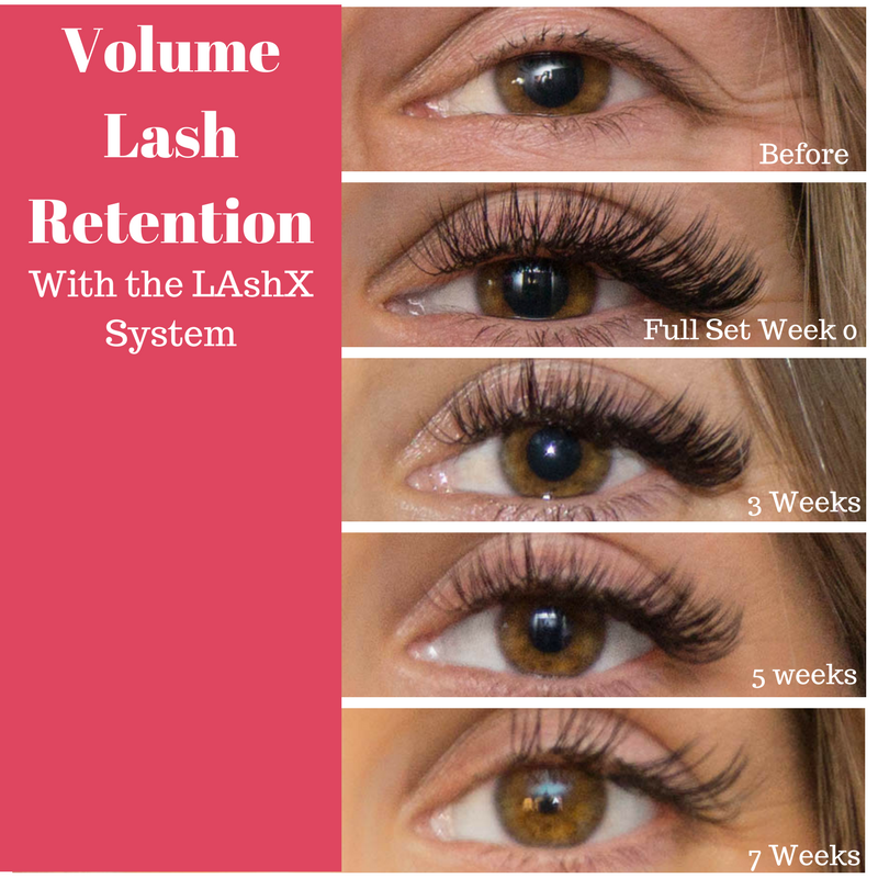 Volume Lashes Really Last Between Fills 