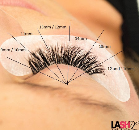 Lash Design