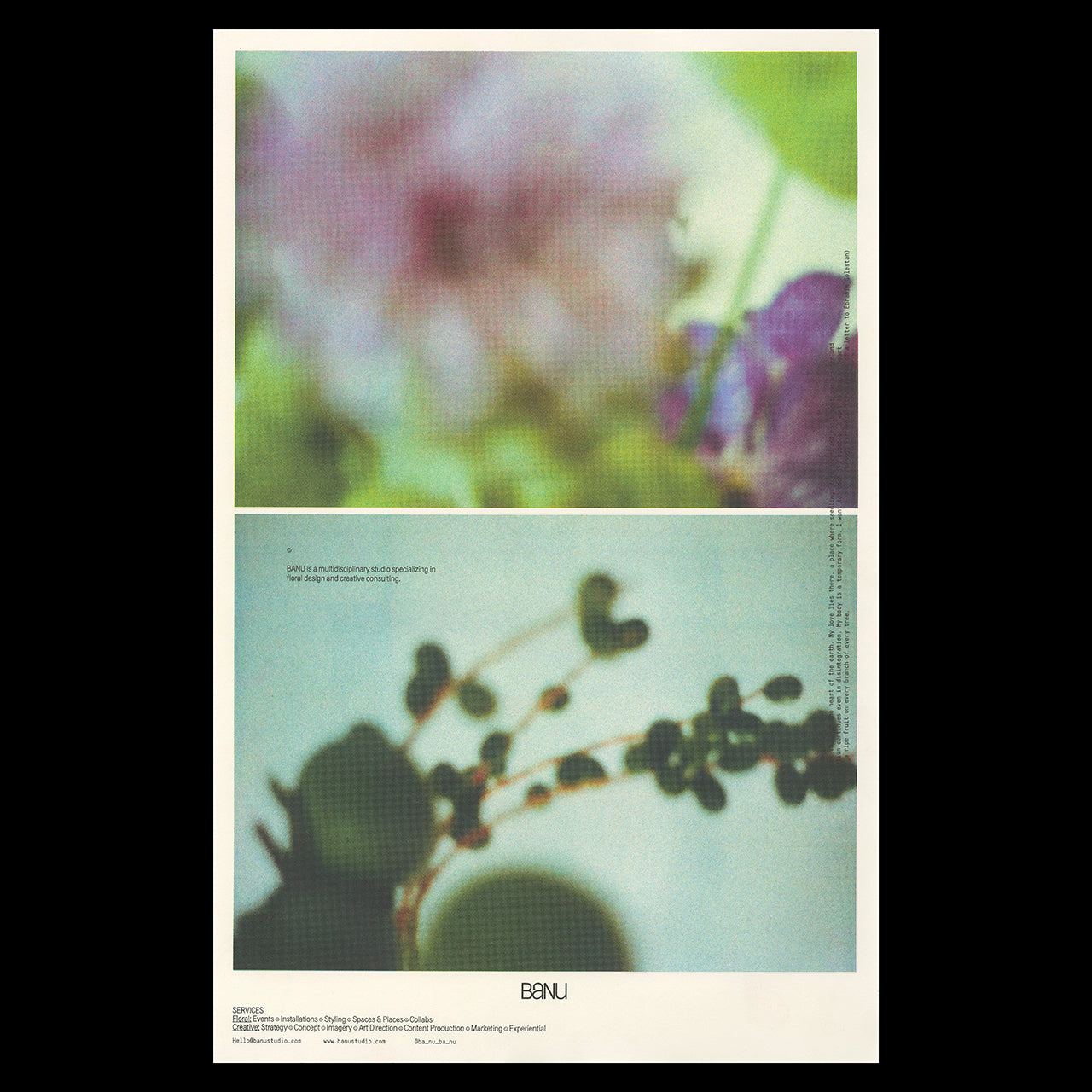 Poster print for Banu Studio featuring blurry artistic photography of flowers