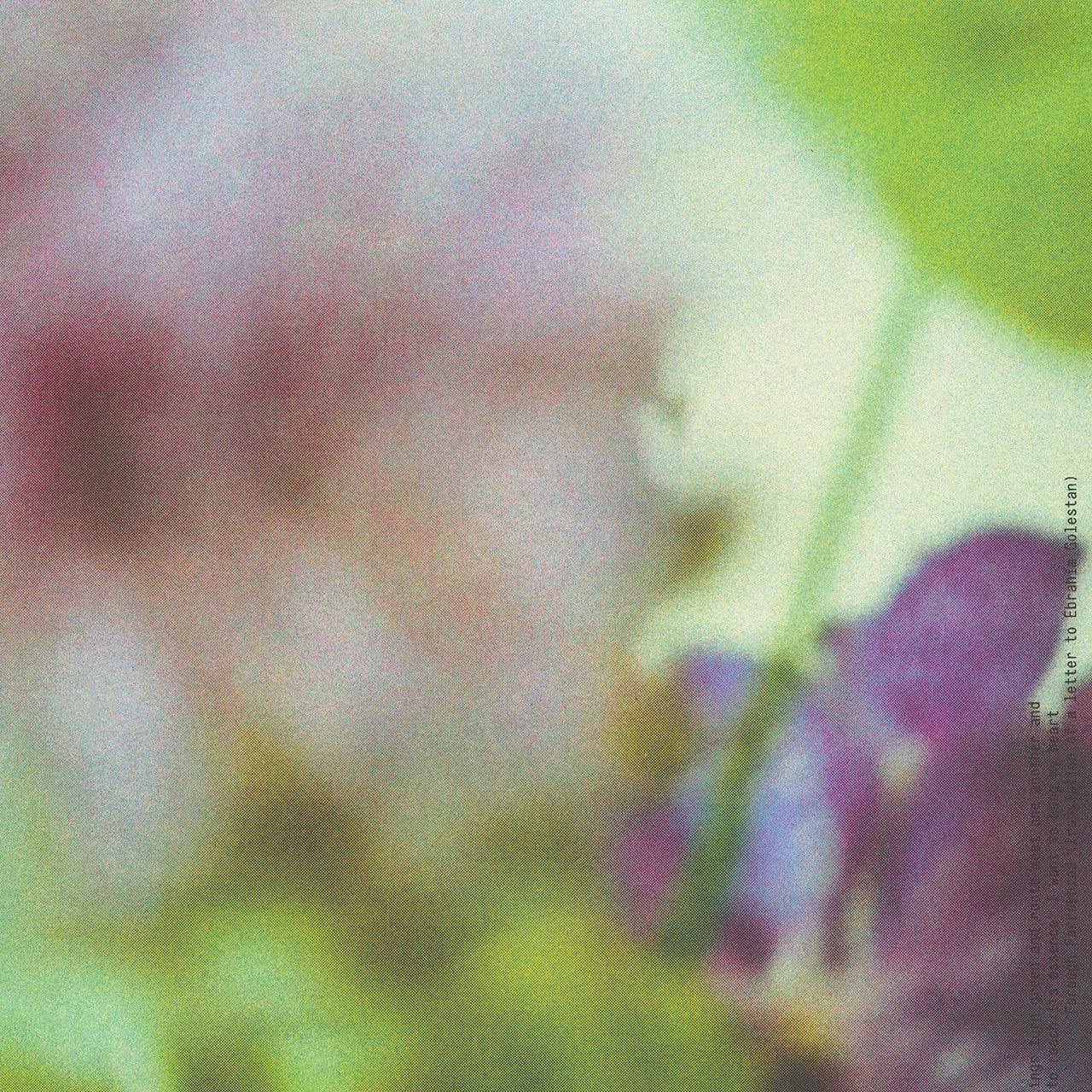 Up close detail of poster print for Banu Studio featuring blurry artistic photography of flowers