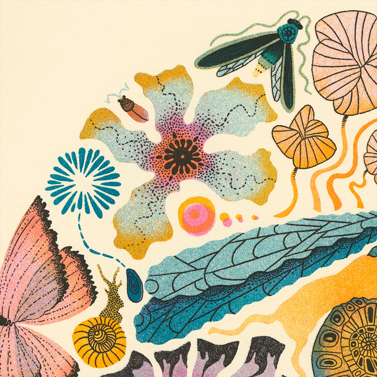 Close up detail of insect world print