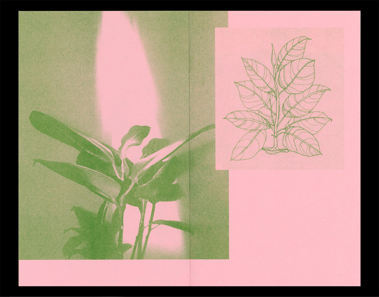 Interior spread of Nicole M. Doan's Portraits of Home showing a photograph an an illustration of plants printed in kelly green Riso ink on a pink paper background.