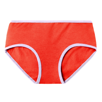 Ramita Medium Waist Briefs Ladies Underwear Random Design Multicolor (3 PCS)