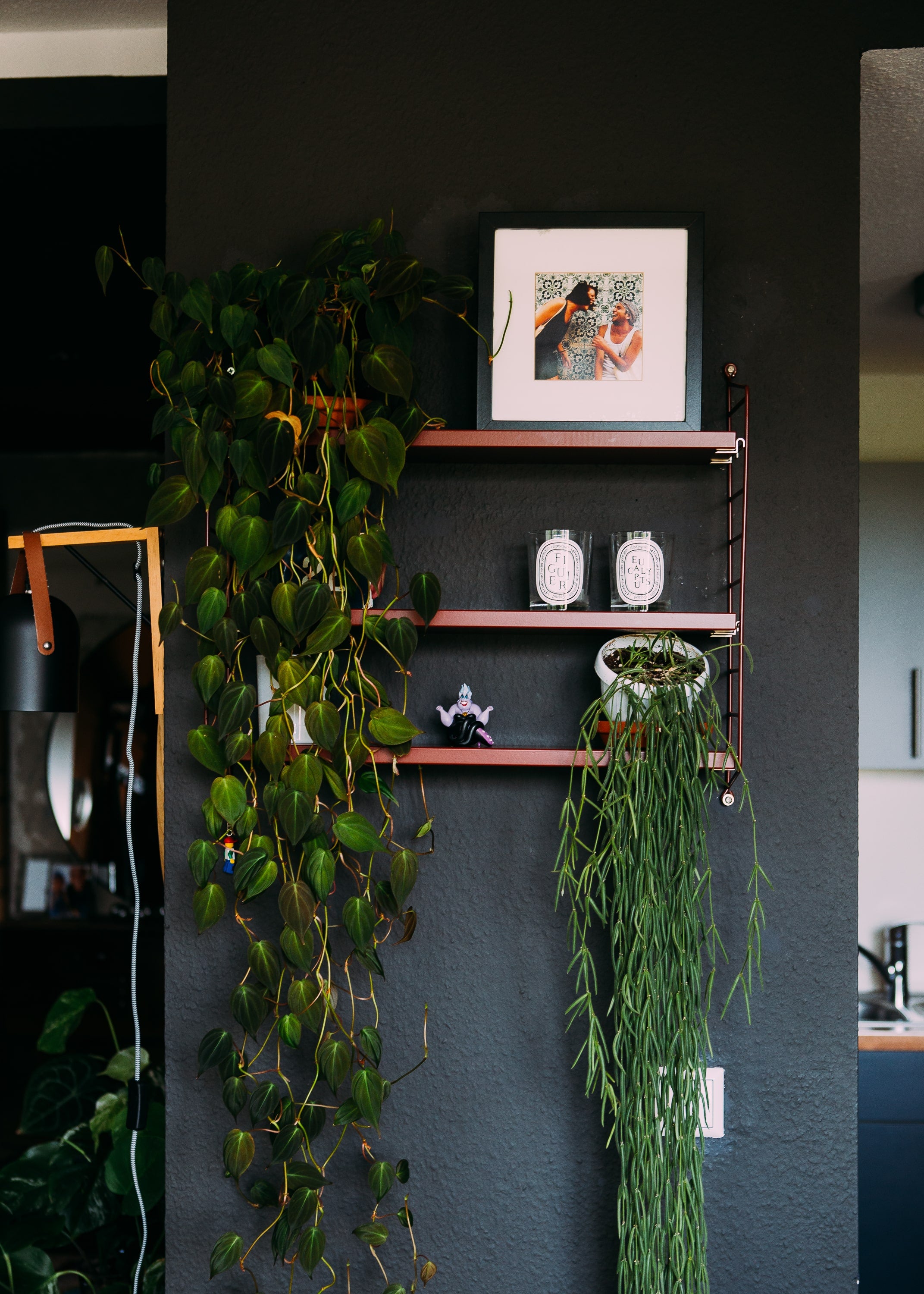 Pflanzendekoration für das Wohnzimmer Inspiration
