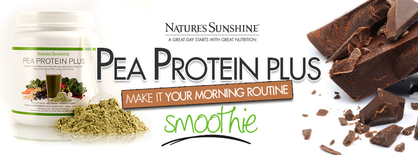 Pea Protein Smoothie Banner