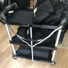 collapsible video cart