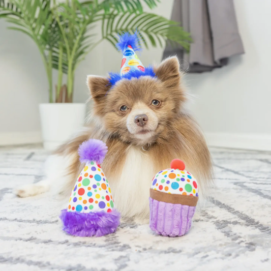 https://cdn.shopify.com/s/files/1/1631/8505/products/itsmybarkday2.png?v=1674582630&width=533