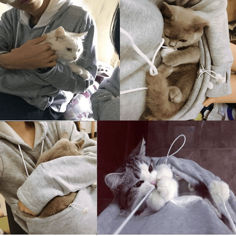 cat kangaroo pouch