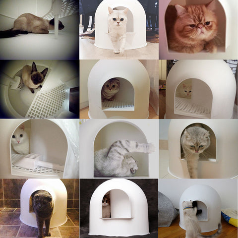 Pidan Snow House Igloo Cat Litter Box - MorePets
