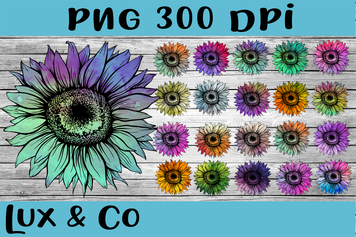 Free Free 111 Sunflower Waterslide Svg Free SVG PNG EPS DXF File