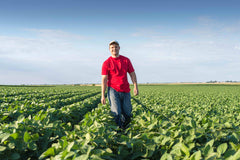 Wonderful Scents American Farmer in Soy Field