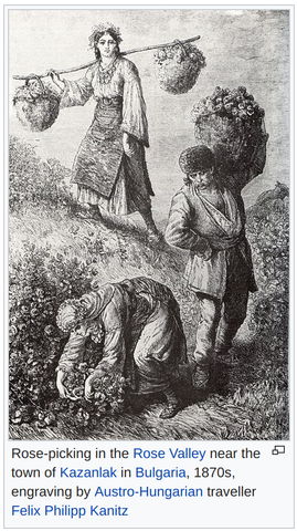 Rose_Oil_Picking_Engraving