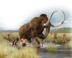 Hunting Wolly Mammoths