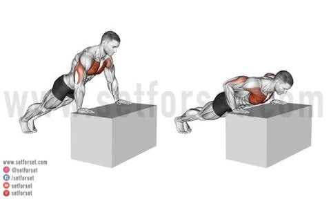 Introduction To Calisthenics: Best Calisthenic Workout for Beginners – Born  Tough