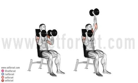 Arnold press shoulder