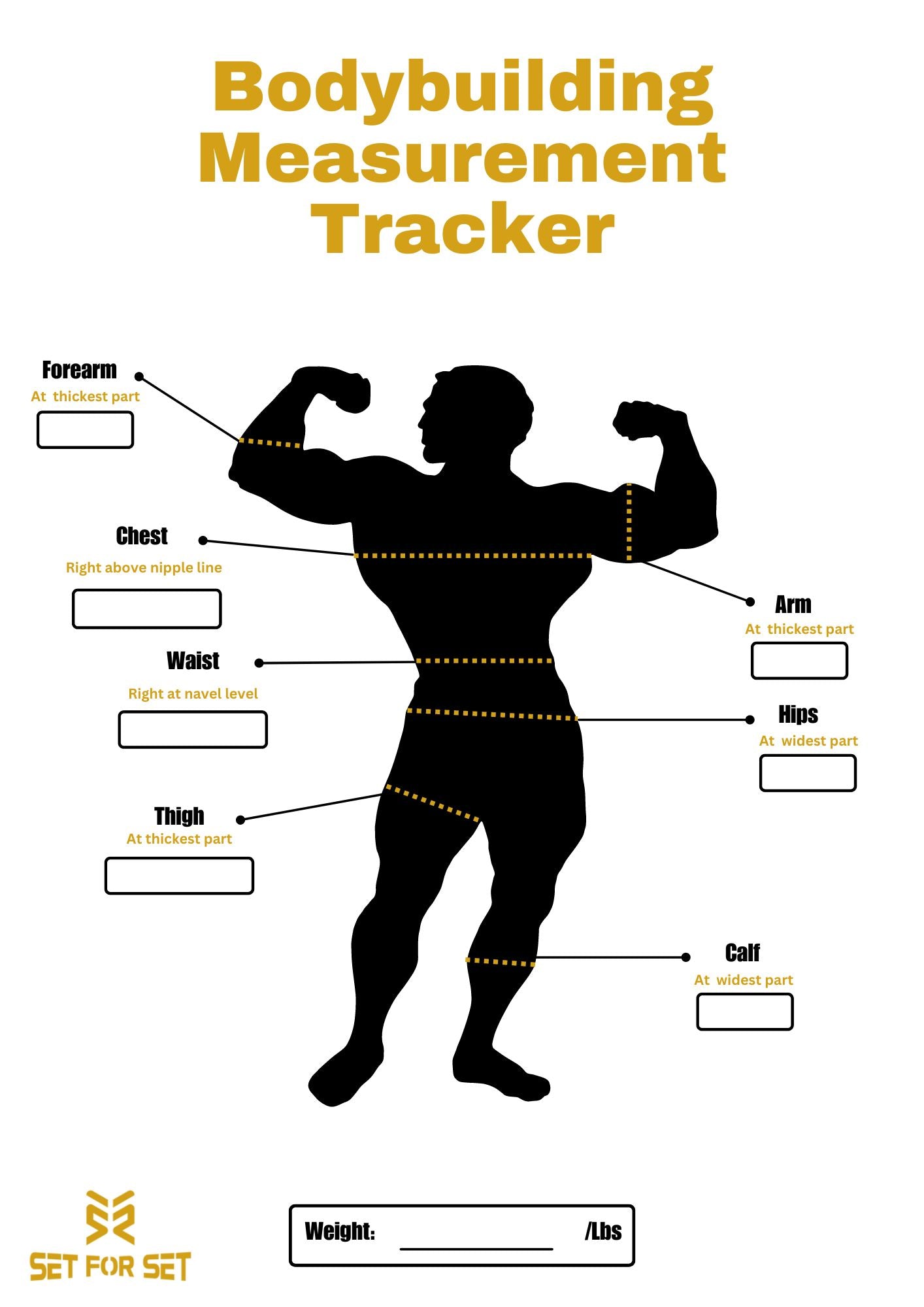 Bodybuilding Measurement Tracker