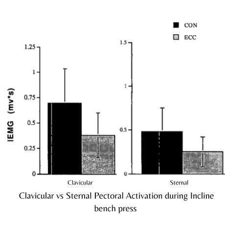 Clavicular vs Sternal Pectoral Activation during Incline bench press