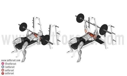 Push pull legs exercises