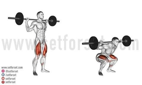 Push pull legs for building muscle