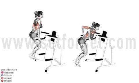 Push pull legs routines