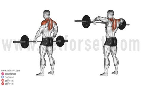 Push pull legs workout