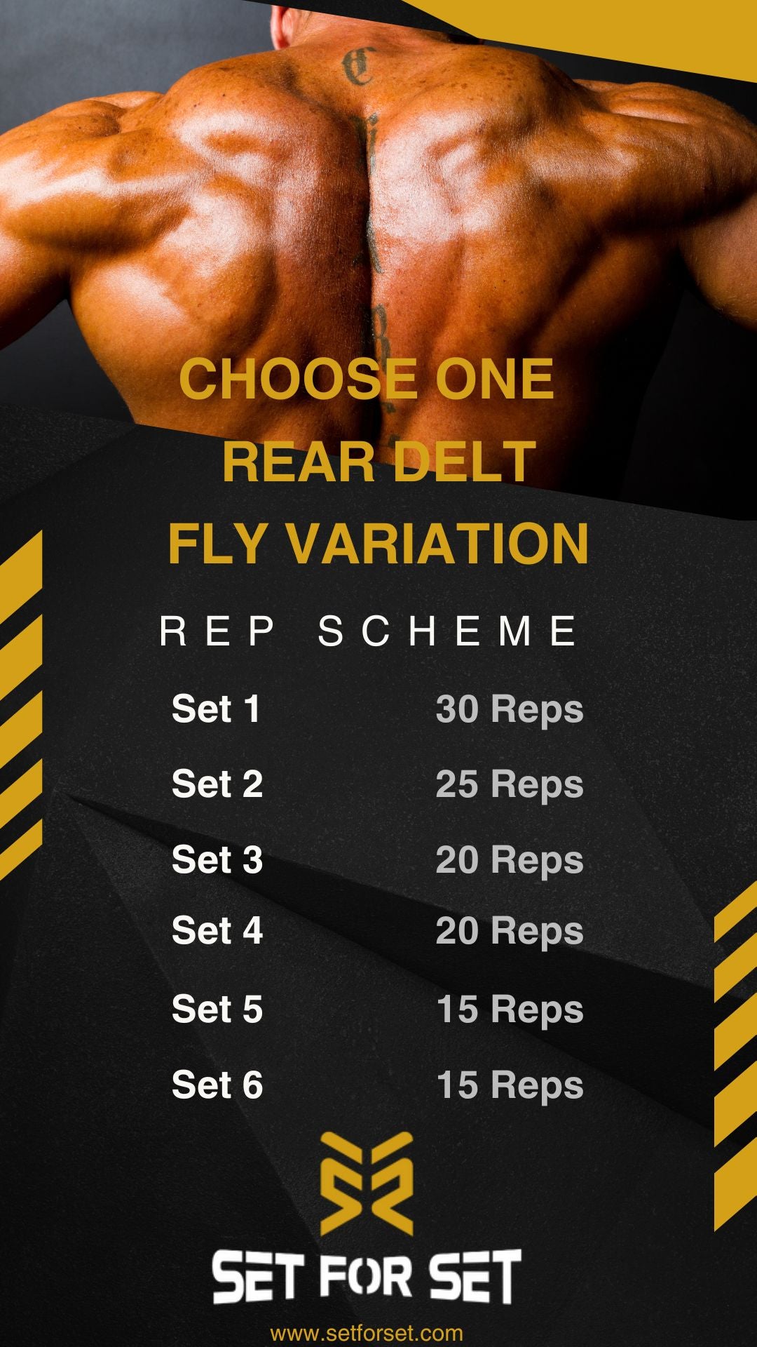 Rear delt rep scheme