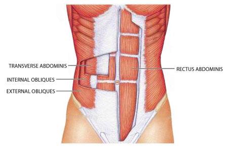 ab exercises standing up