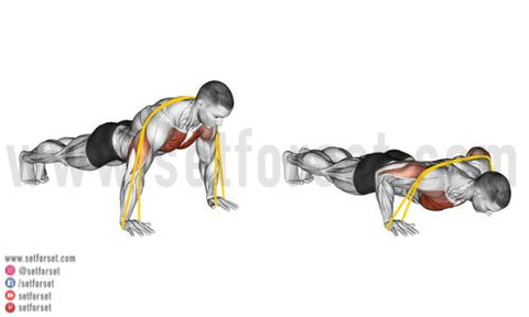 Correct Push-Up Form Tips, Benefits, and Variations