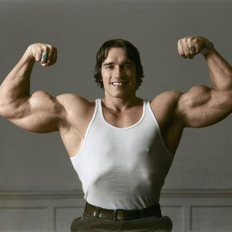 Big Arms: How to Get Arms Like Arnold Schwarzenegger