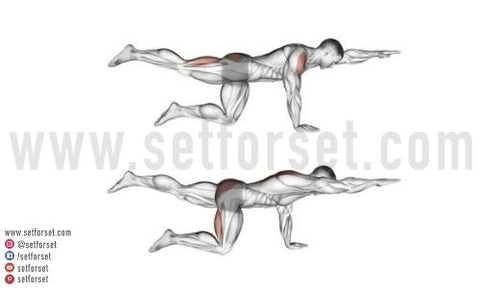 Back Extension - Instructions, Information & Alternatives »