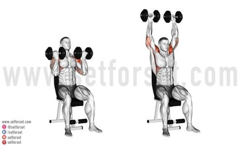 are arnold presses good for front deltoids