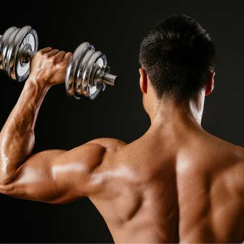 The Ultimate Shoulders & Arms Workout - SET FOR SET