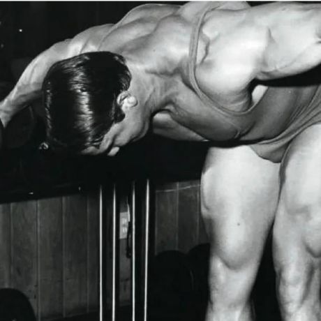 arnold arm and shoulder workout