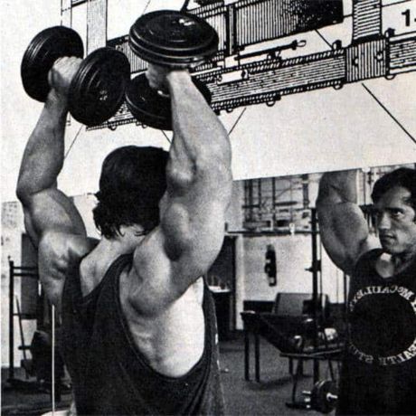 arnold arms and shoulder workout