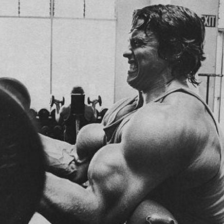 arnold's arm workouts