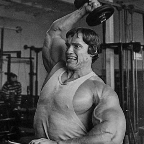 arnold schwarzenegger arm workout