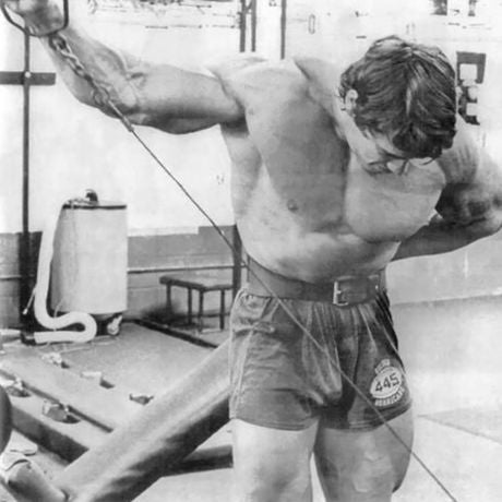 arnold schwarzenegger arms and shoulder workout
