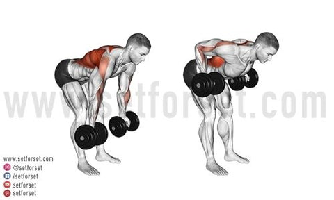 The Ultimate Back and Biceps Workout Routine - SET FOR SET