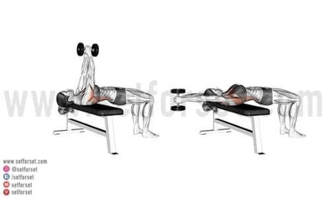 12 Best Back Exercises Women Can Use to Build Muscle - SET FOR SET