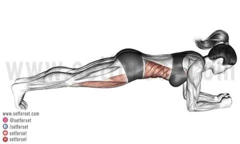 11 Exercises To Build Stronger Back Muscles Without Any Equipment