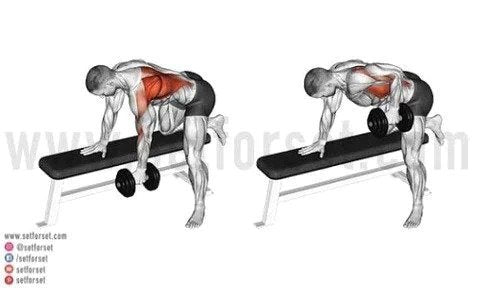 back workout at home with dumbbells